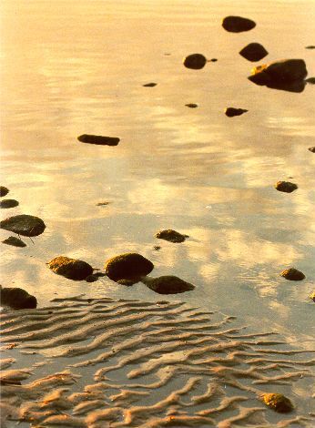 stones at sunset/Malibu beach