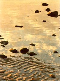 Malibu: stones at sunset